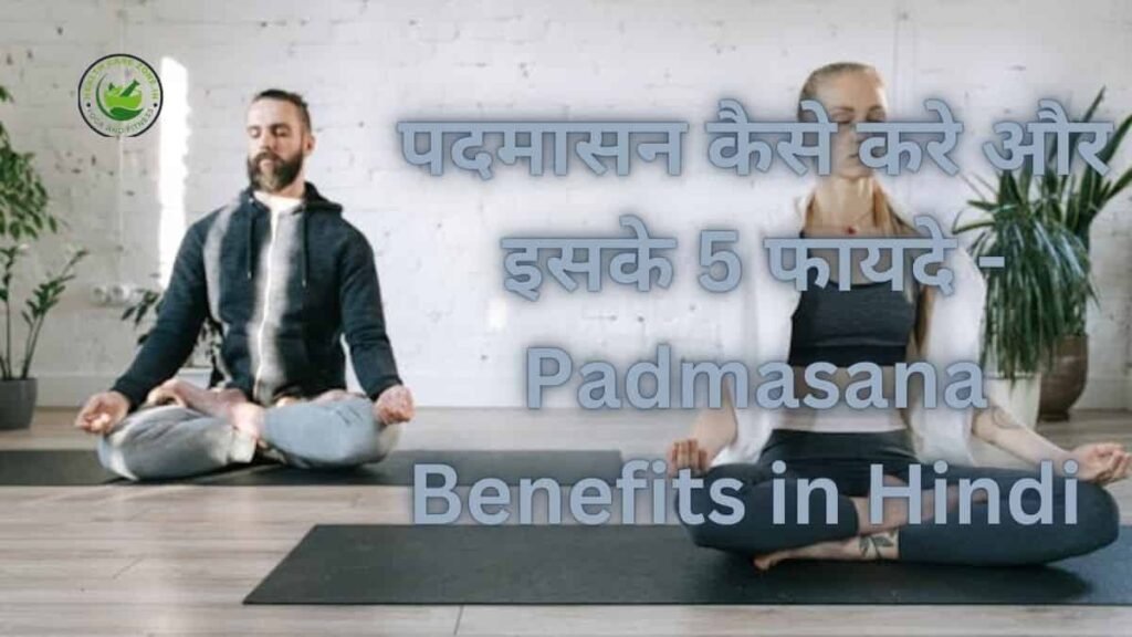 Padmasana Benefits in Hindi 